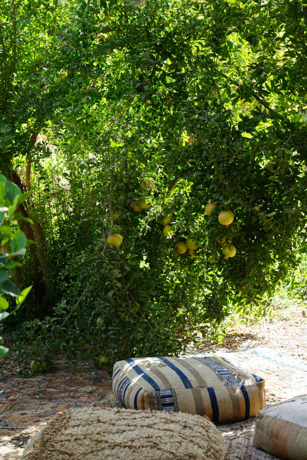 Honey & Olive Oil Tastings